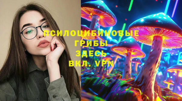 дживик Заводоуковск