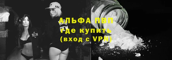 прущие грибы Елабуга
