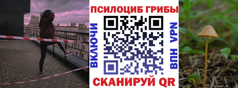 где купить   Красновишерск  Псилоцибиновые грибы Psilocybine cubensis 